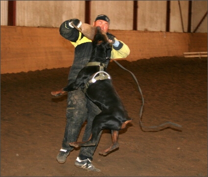 Training in Estonia 11/2007